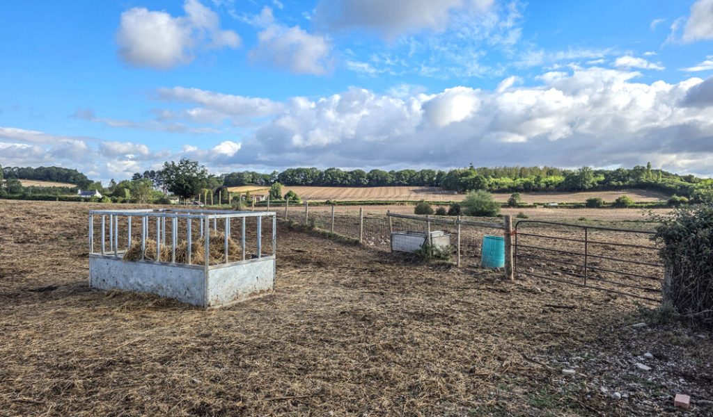 Bare, grazed pasture with a hay feeder and a water trough under a blue sky after months without rain
