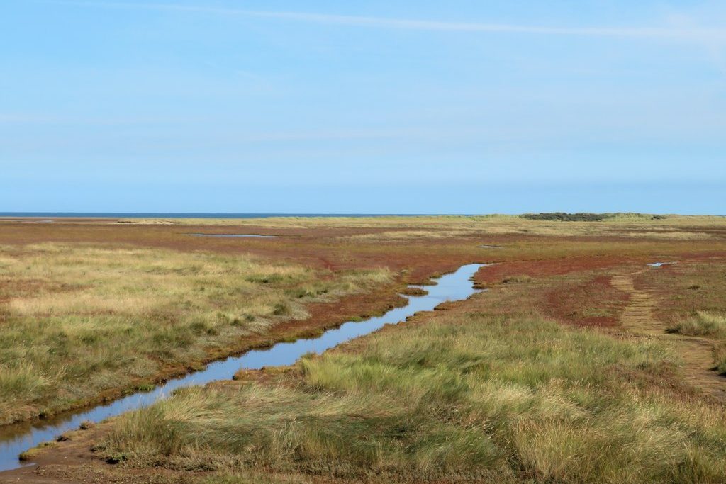 A tidal creek winding through saltmarsh towards the sea at Saltfleet